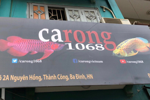 Carong1068 chuyển VP kho HN đến địa chỉ mới: 2A Nguyên Hồng, Thành Công