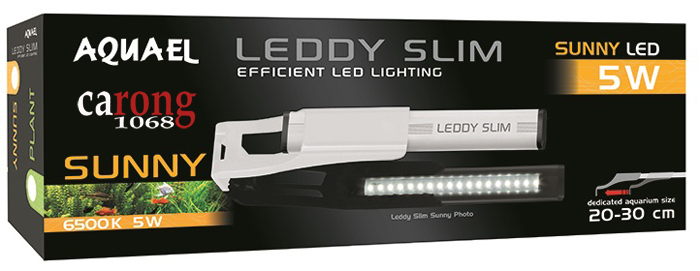 den-led-5w